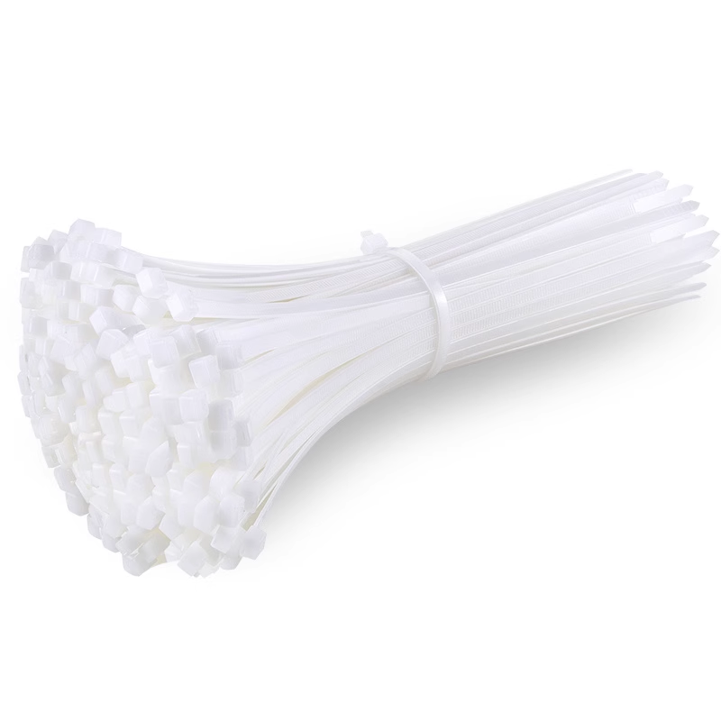 GEYA格亚自锁式尼龙扎带4*200mm固定塑料捆100条5*300mm卡扣50条